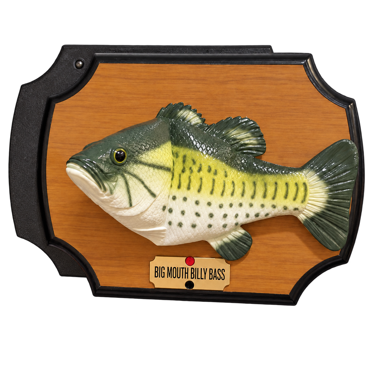Sensei Fish on his wooden plaque.